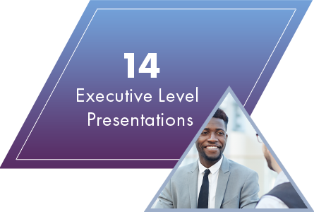 20+ Executive Level Presentations